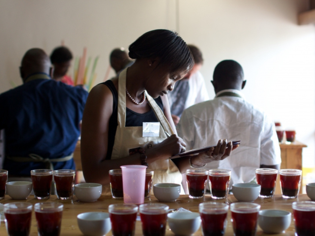 Cup of Excellence