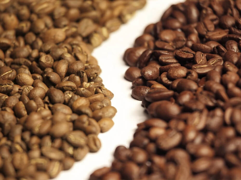arabica robusta
